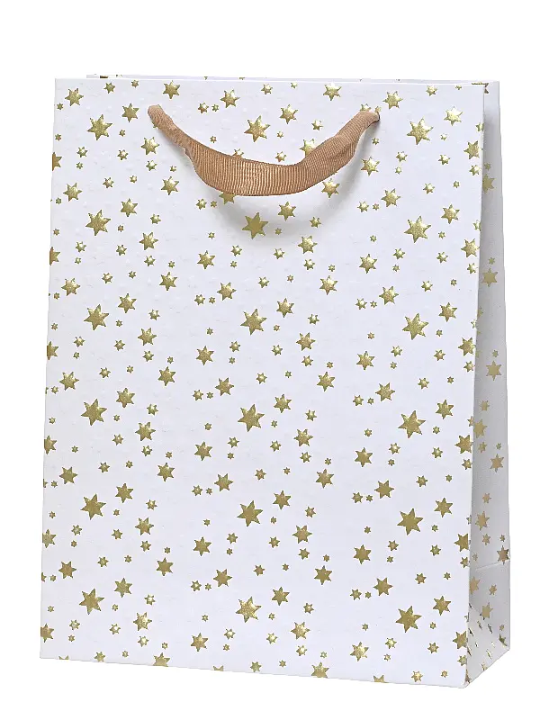 Kersttasjes sterren wit goud 18 x 8 x 24 cm (6 stuks)