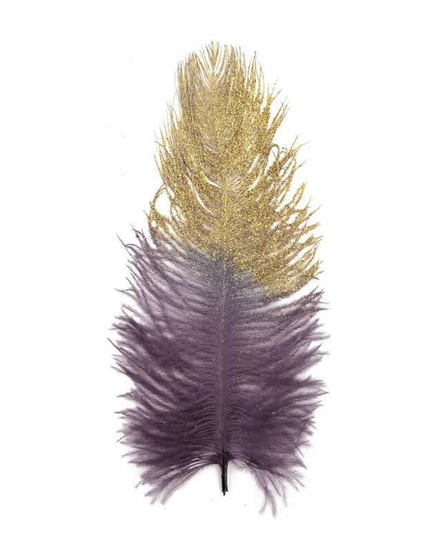 Decoratie veren plume aubergine 21 cm (6 stuks)