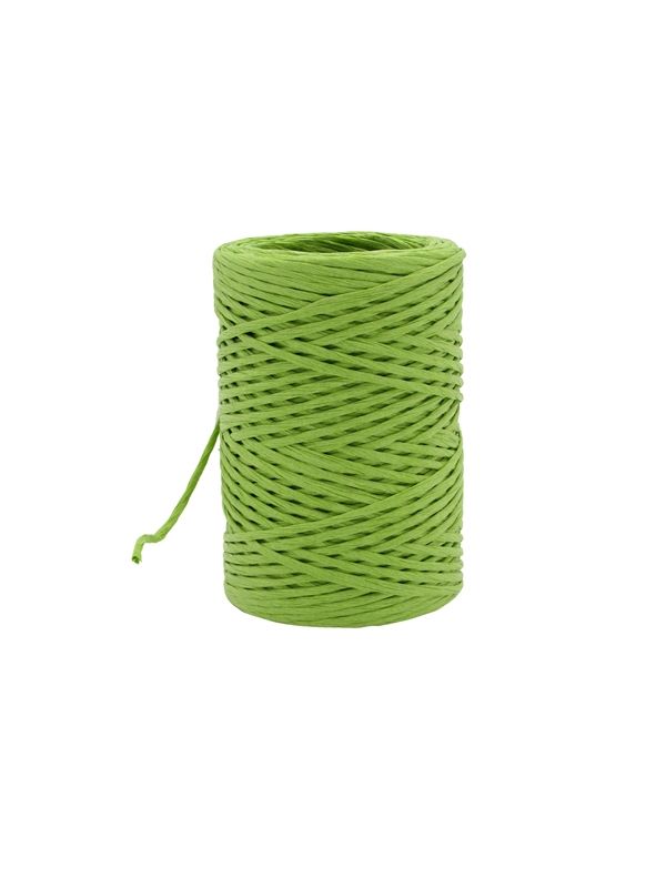 Paper cord wired limegroen 2 mm (50 meter)