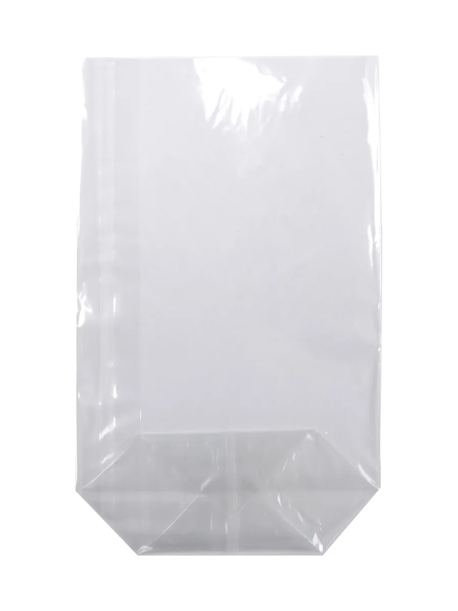 Kruisbodemzakjes 120 x 225 mm (100 stuks)