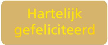 Wensetiket Hartelijk Gefeliciteerd goud 38 x 16 mm (500 stuks)